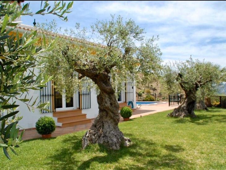 Casa Nobleza Semesterbostad Málaga